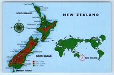 NEW ZEALAND illustrated map cartograph Postcard picture
