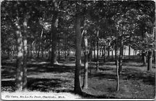 c1907 Clarklake, MI, Ma-Le_Na Park, The Oaks, forest scene, Jeanette, PA picture