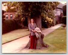Photograph Shakespears Tree Vintage Photography picture