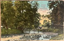Cedar Rapids Iowa Union Park Prairie Creek People on Bridge VTG Postcard c1910 picture