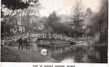 New Zealand Nelson Queen's Gardens Swans   1910  NZ  picture
