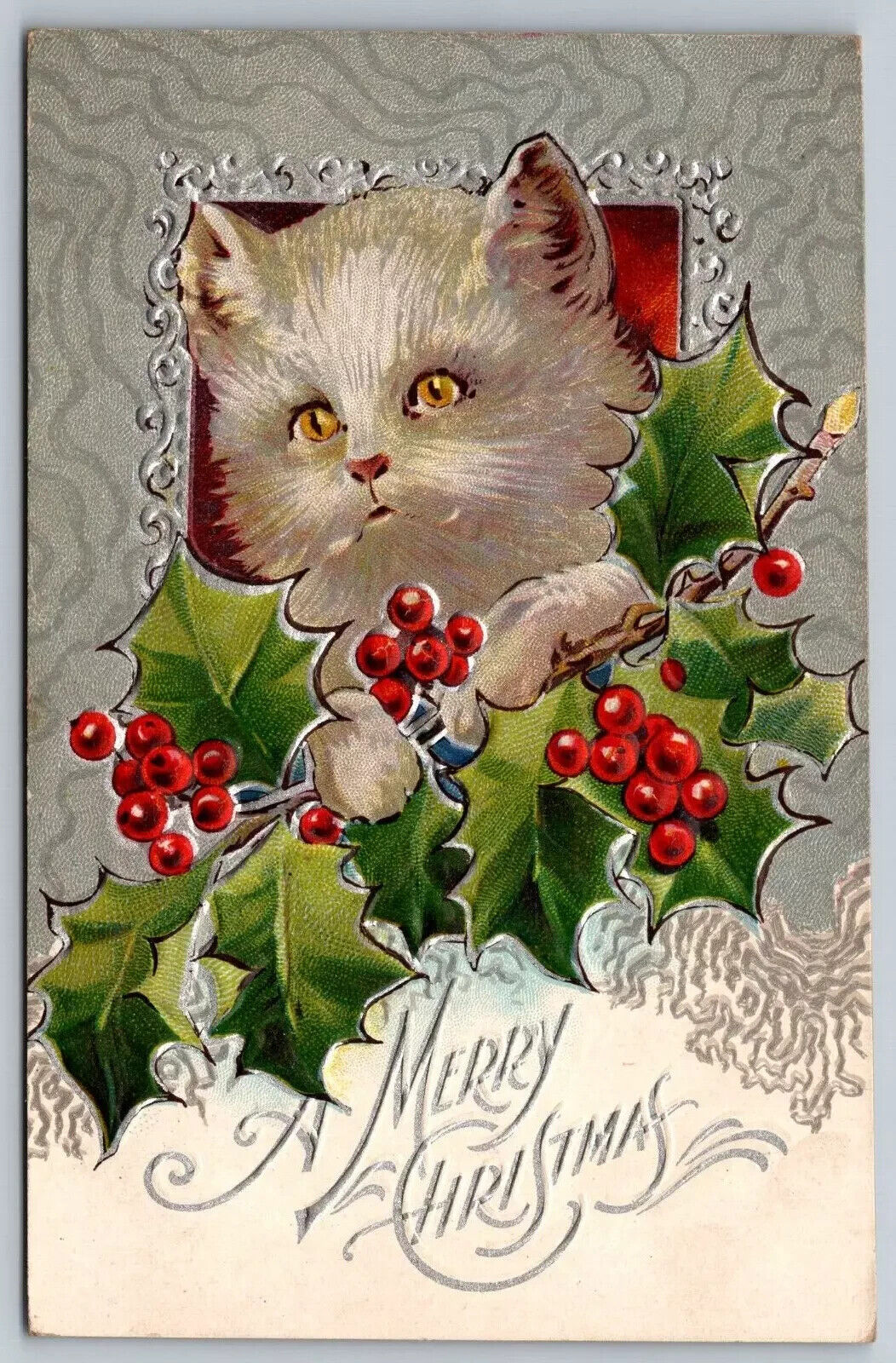 White Fluffy Cat kitten with Holly~Antique~ Embossed~Christmas Postcard~h675