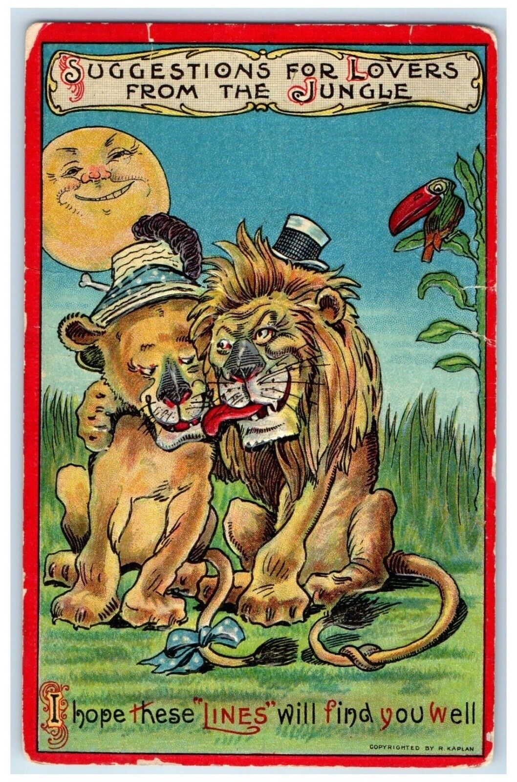 c1910's Suggestion For Lovers Anthropomorphic Animals Embossed Antique Postcard