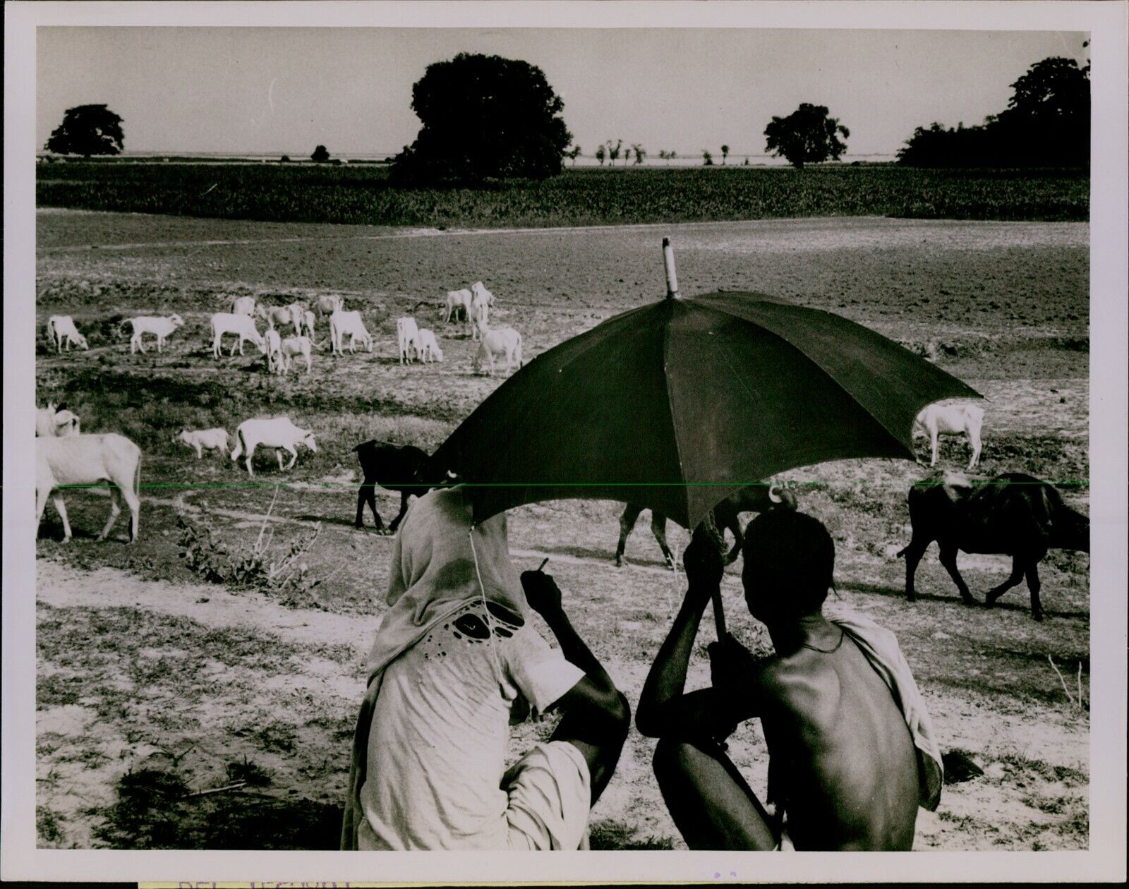 GA65 1967 Original Photo THE MAGIC OF RAIN Bihar India Farmers Under Umbrella