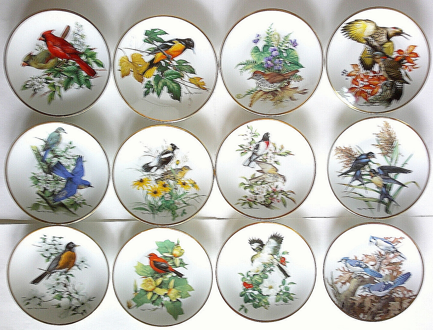 Choose: from 5 Roger Tory Peterson Bird Plates Lim. Ed. Collector Limoges France