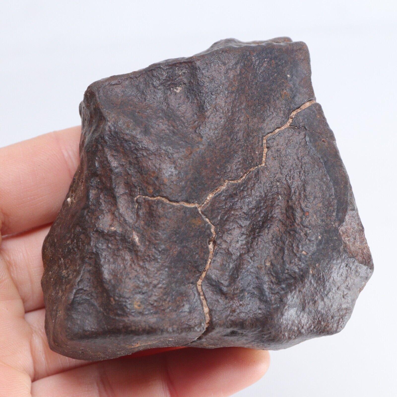 253g Chondrite from Northwest Africa R1691