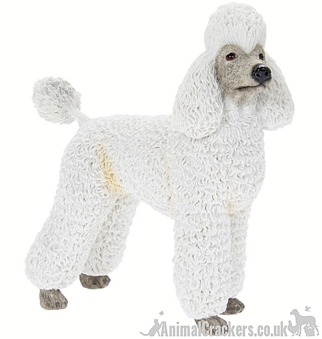 White standing Poodle ornament figurine sculpture quality Leonardo, gift boxed