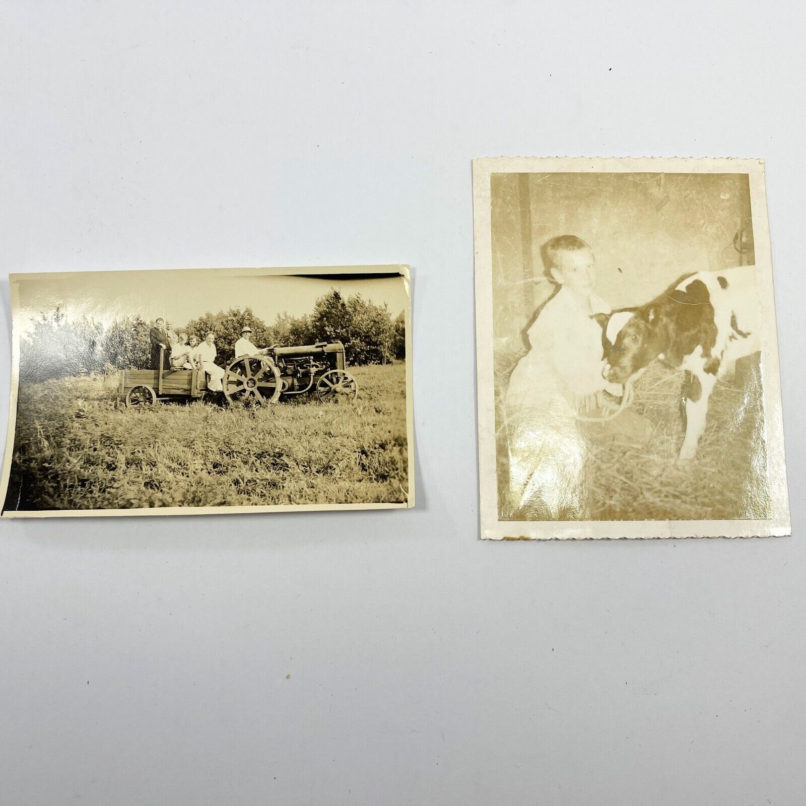 Vintage Photo Farm Boy cow calf Tractor hayride Lot of 2 B/W photos