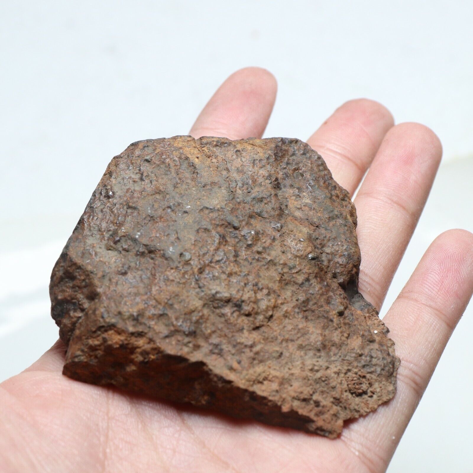 106g NWA natural Unclassified meteorite section slice C2691