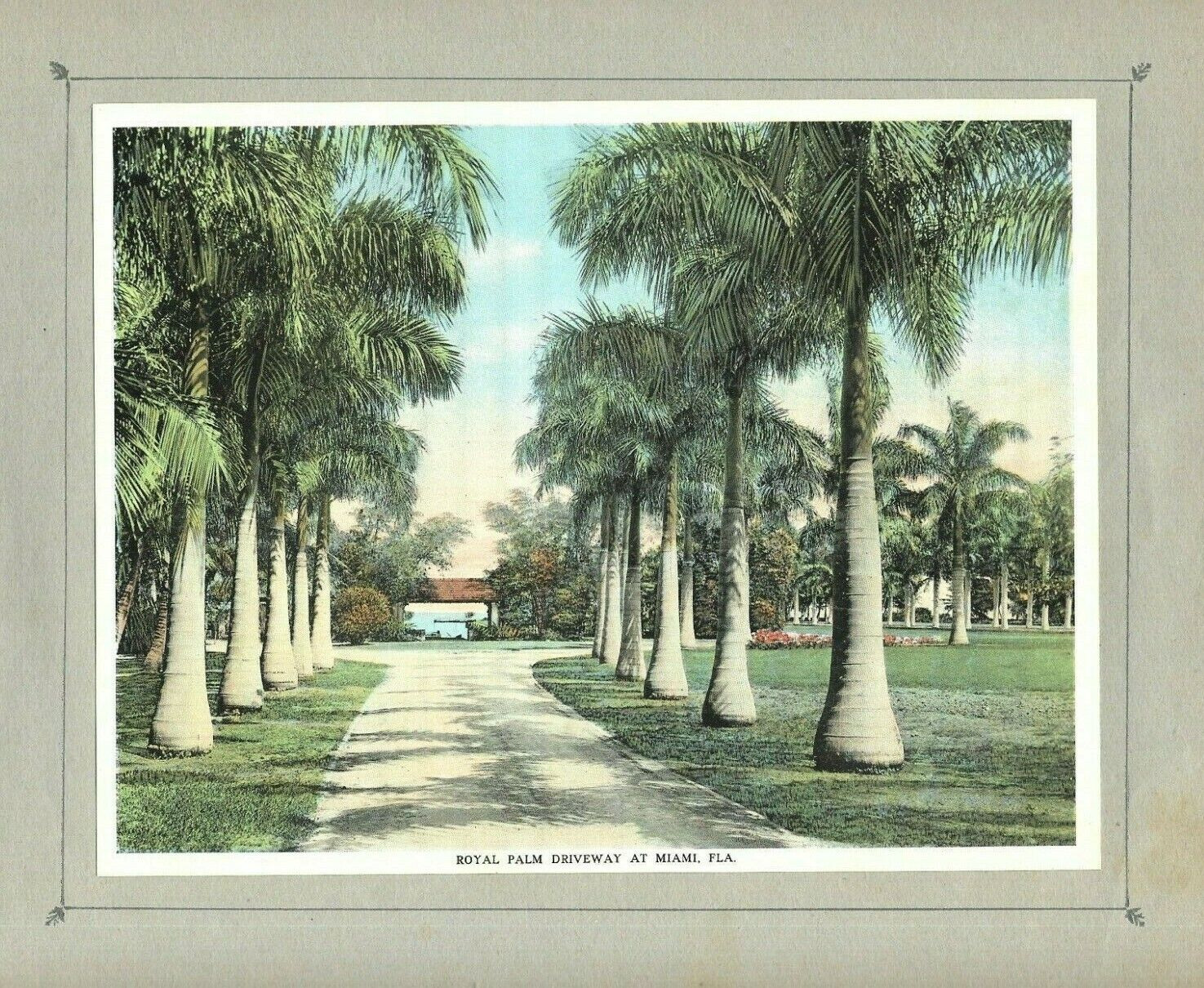 1920 orig print miami florida hotel royal palm driveway, 100 y o,  9x7 inch NICE