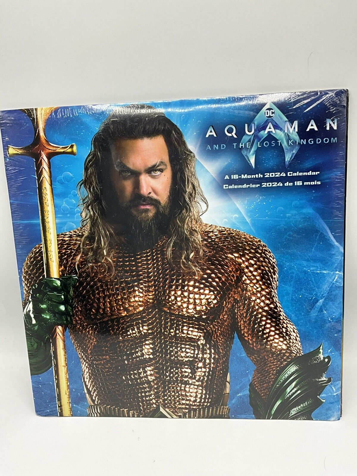 Trends International,  Aquaman and the Lost Kingdom 2024 Wall Calendar