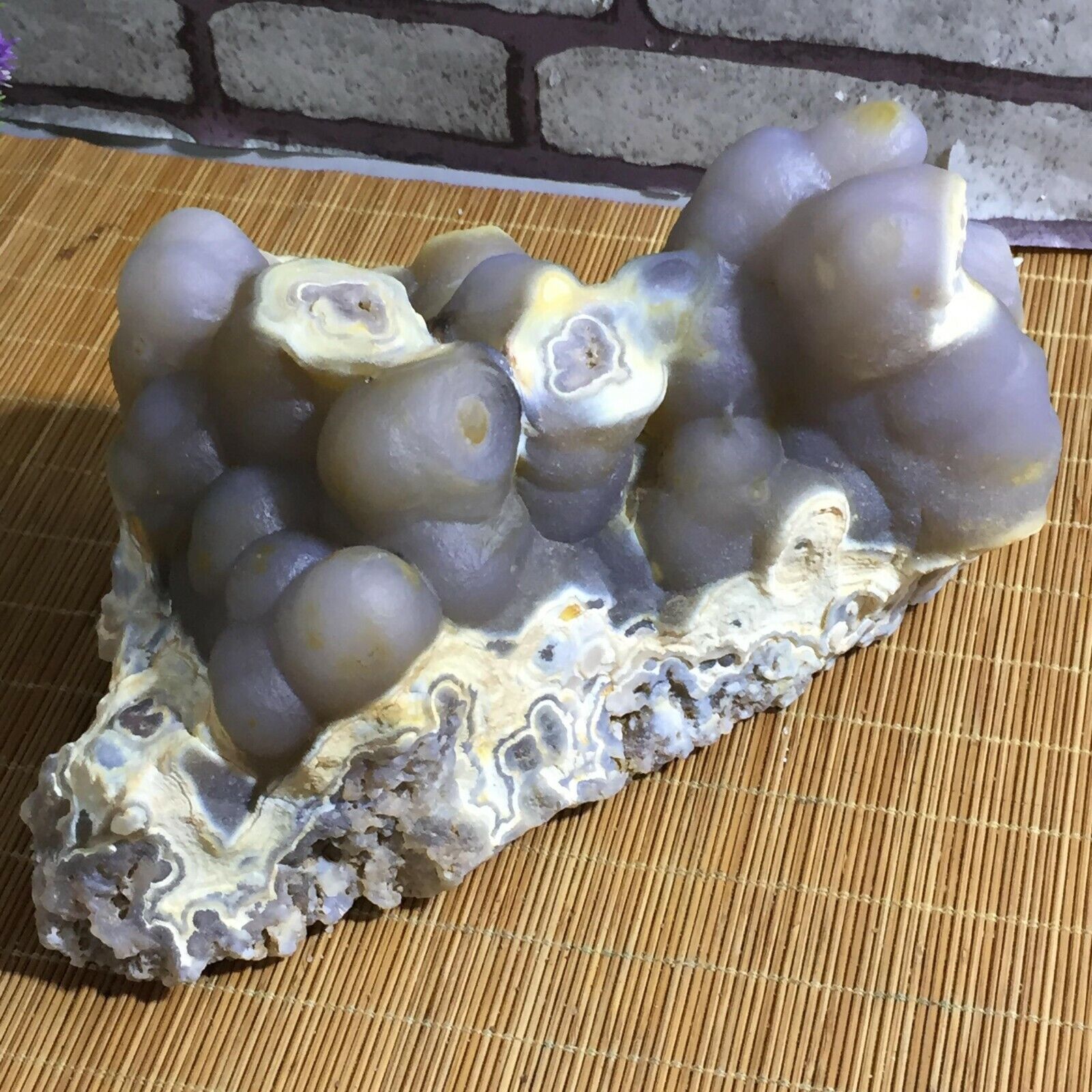  Bonsai Suiseki-Natural Gobi Agate Eyes Stone-Rare Stunning Viewing 2700g 