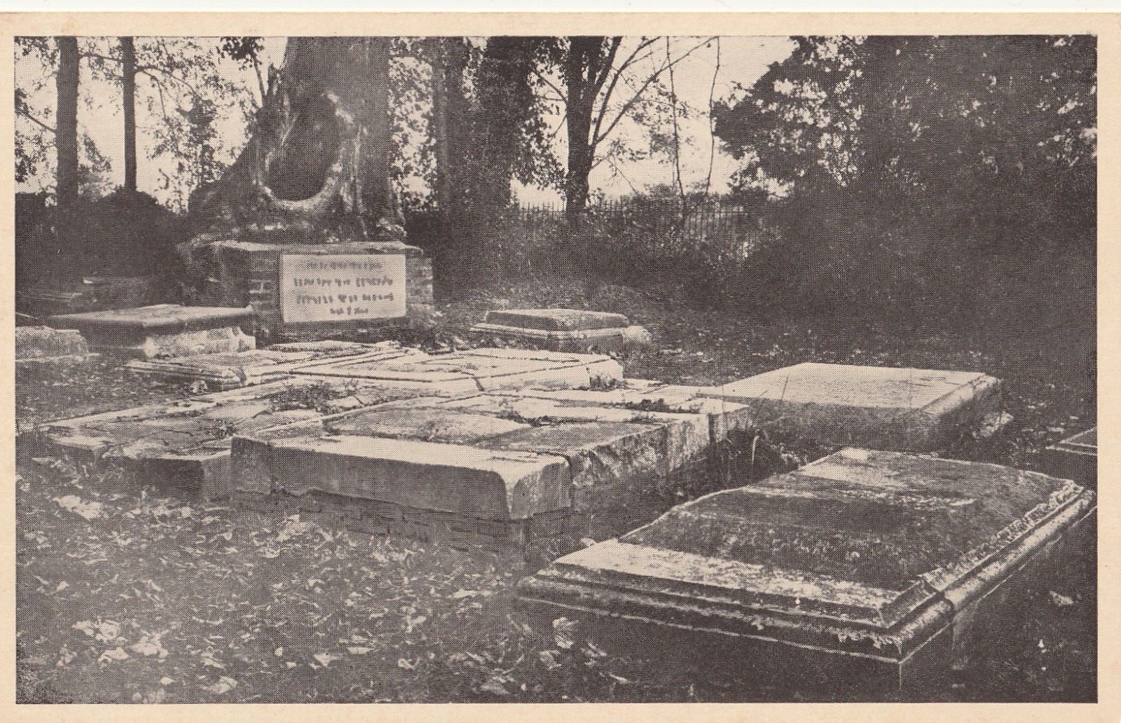 Vintage Postcard Ancient Graveyard in Jamestown, Virginia B&W Photo Unposted
