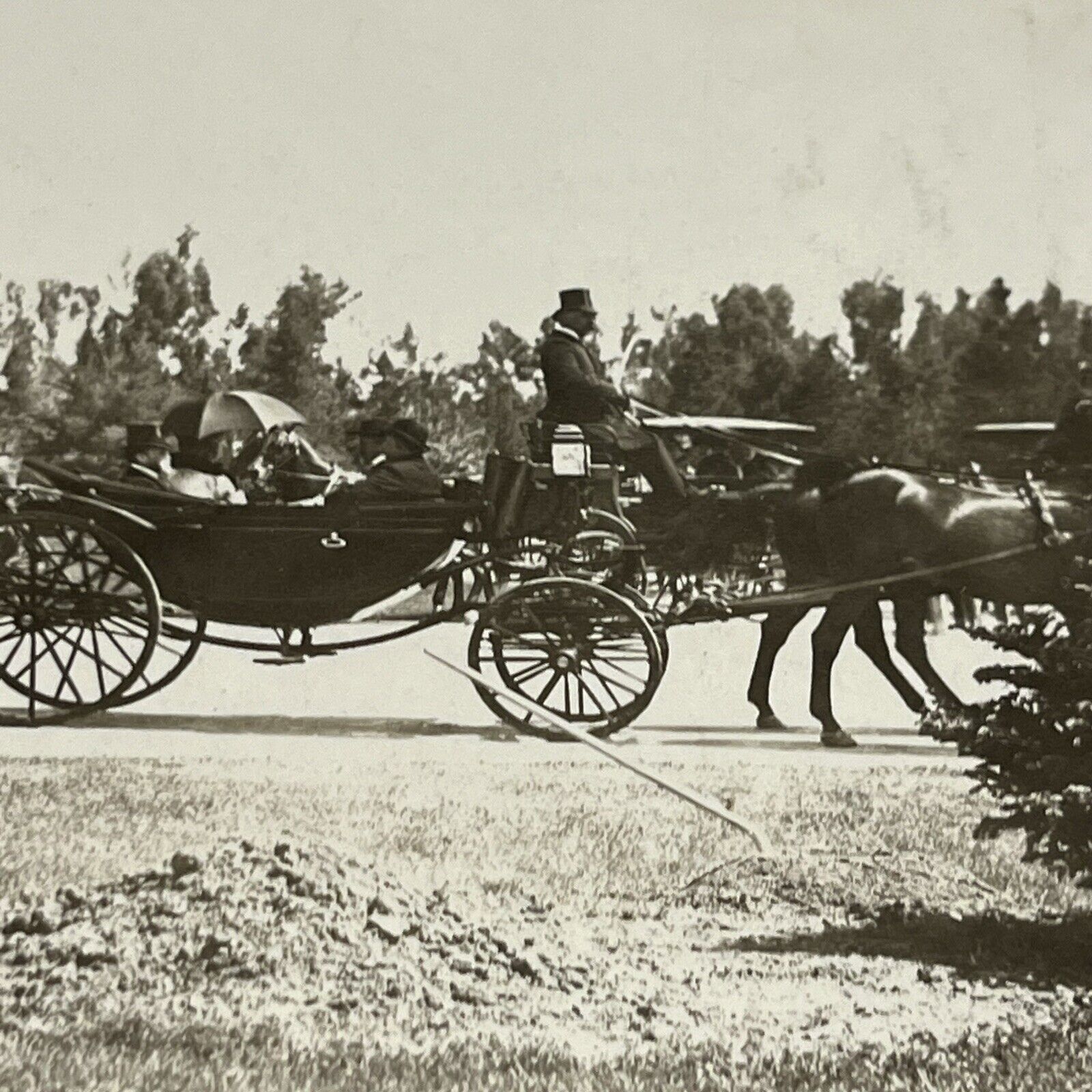 Original Antique Photo Fancy people Carriages Horses Aristocrats Tree plant O6