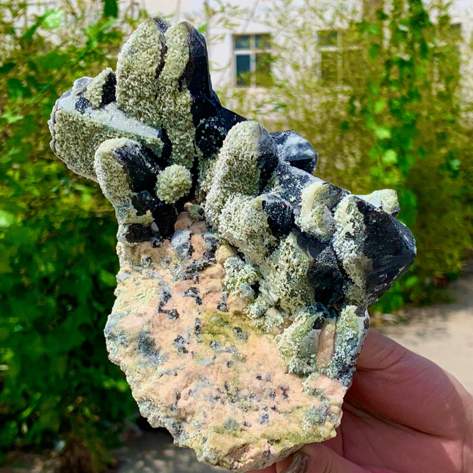 2.53LB Rare natural black intergrowth quartz crystal cluster mineral sample