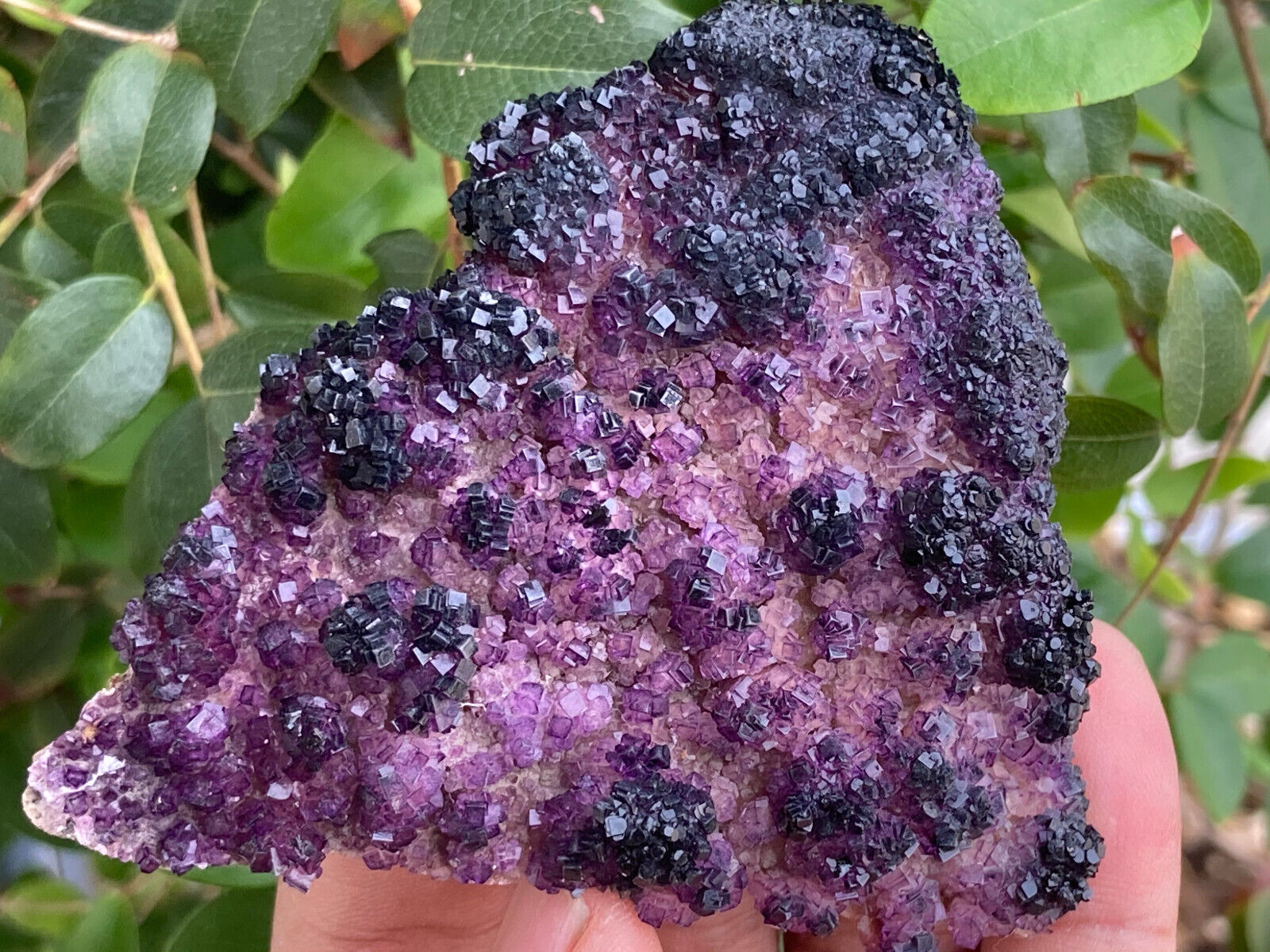 8.1cm  Purple Yttrofluorite on Matrix from China
