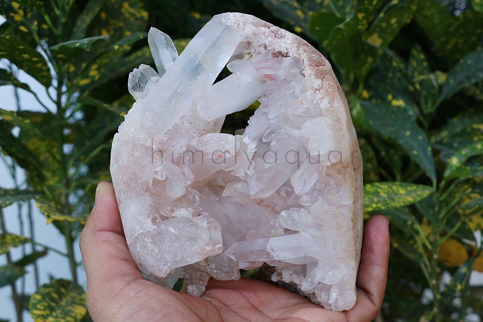 White With Pink Quartz 1.065 Kg Crystal Mineral Quartz Crystal Point Healing Raw