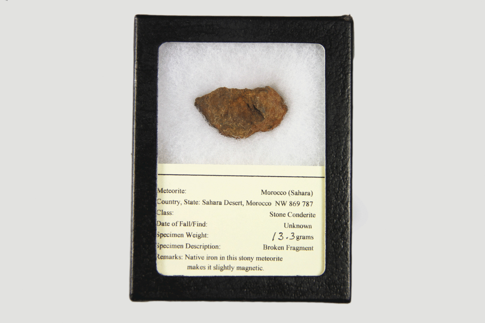 Genuine NWA 869 787 Meteorite in Display Box
