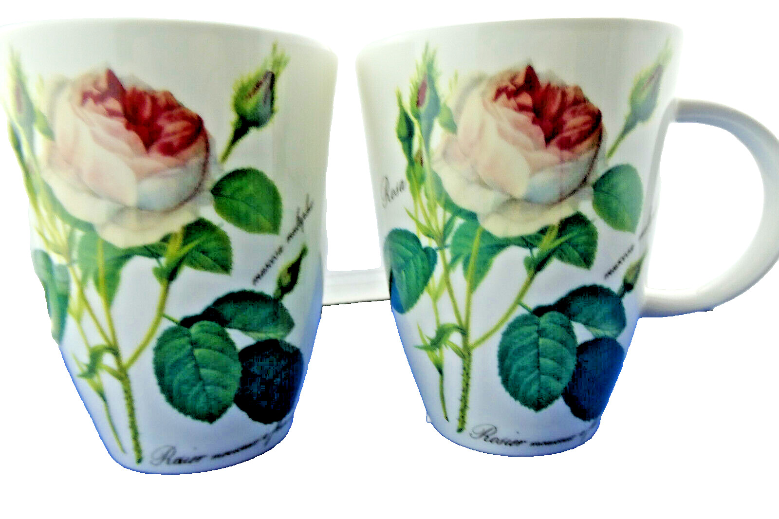 REDOUTE ROSE 2 FINE BONE CHINA mugs MADE IN ENGLAND  by Roy Kirkham  NEW, 12 oz