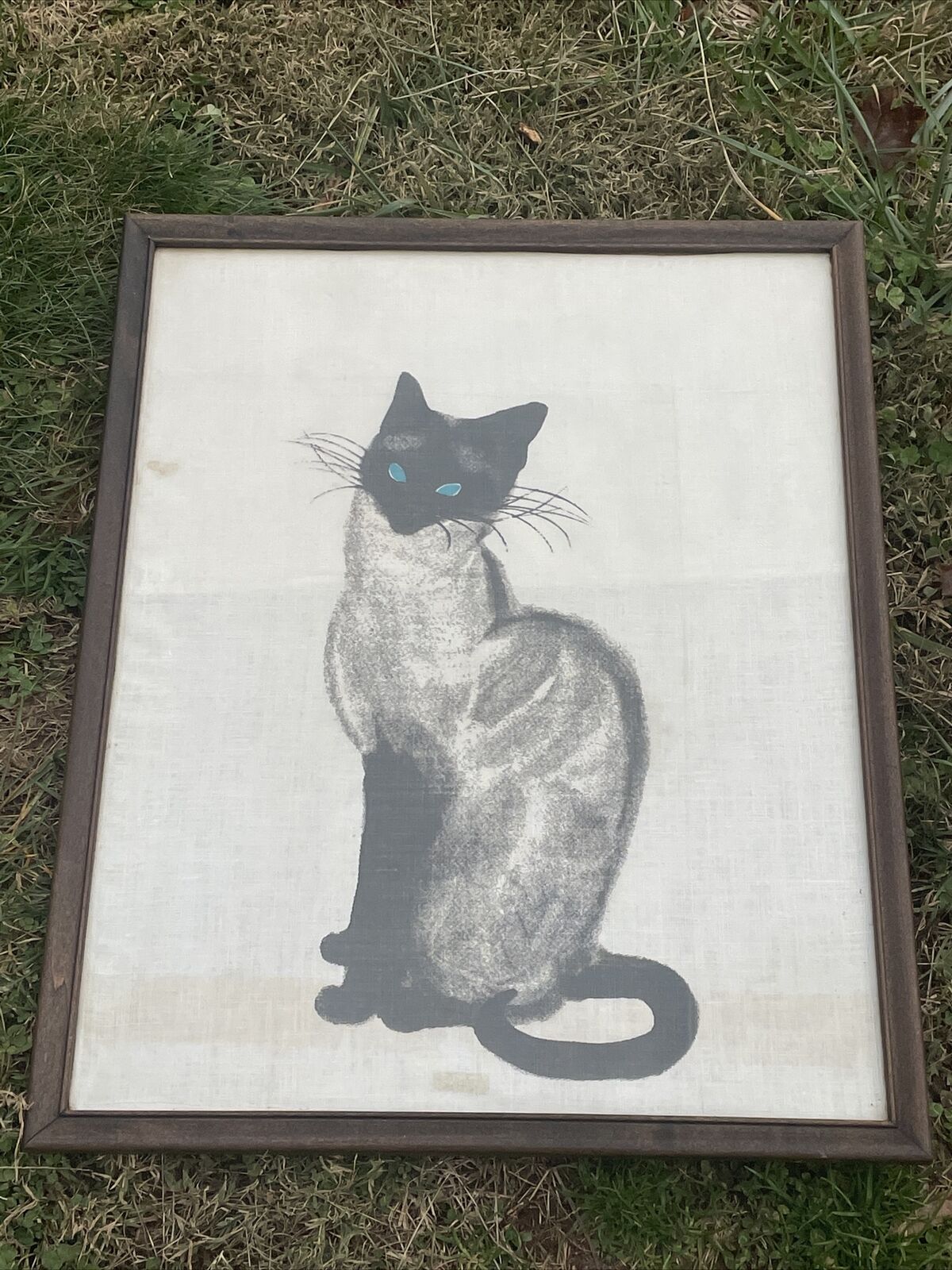 Siamese Cat Kitten BLUE EYES Flame Point UNIQUE Framed Wall Art OOAK ❤️ct39j3