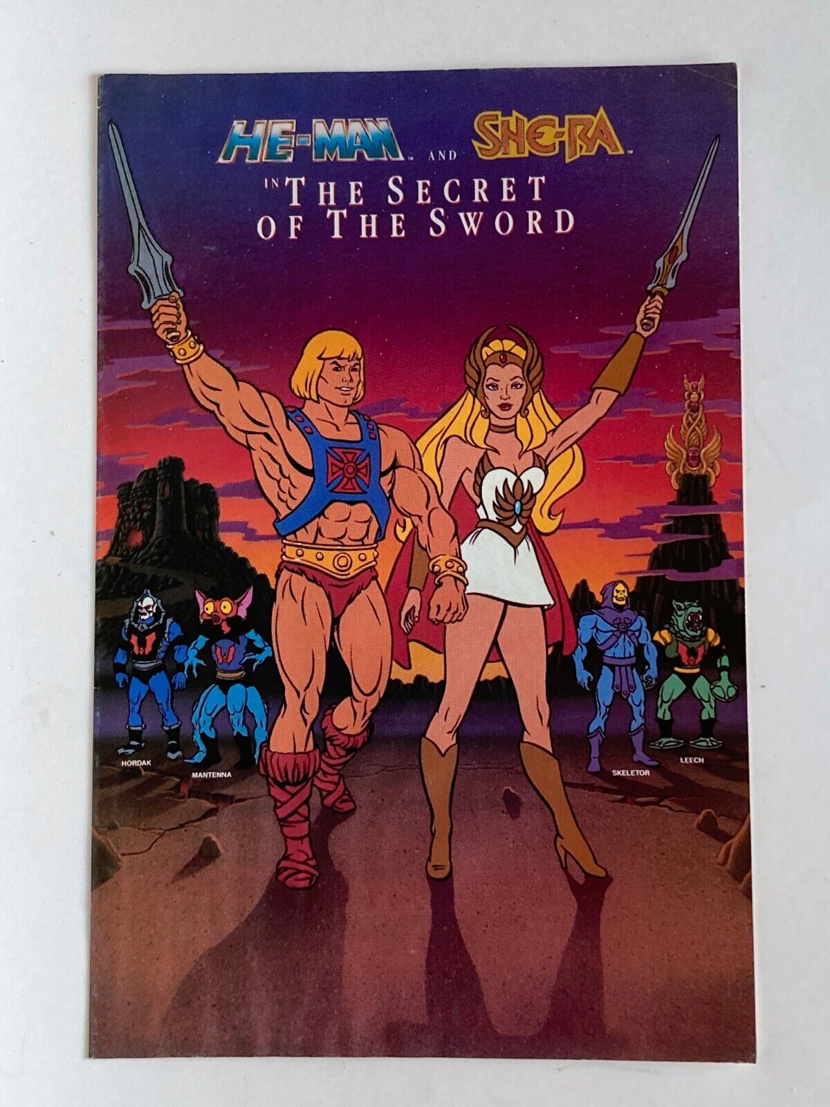 He-Man And She-Ra Secret Of The Sword #0 He-Man Masters Of Universe COMIC BOOK