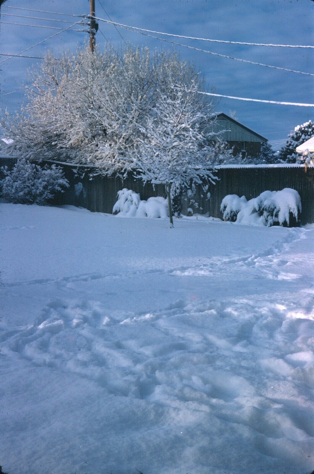 1973 Snowy Backyard After Snowstorm Colorado Dec Vintage 35mm Slide