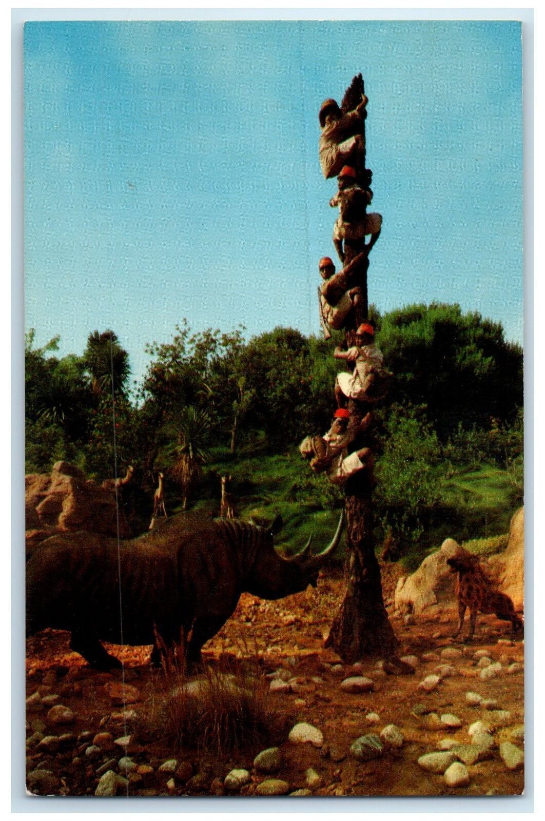 c1960s Disneyland Trapped Safari Rhinoceros Scene Anaheim California CA Postcard