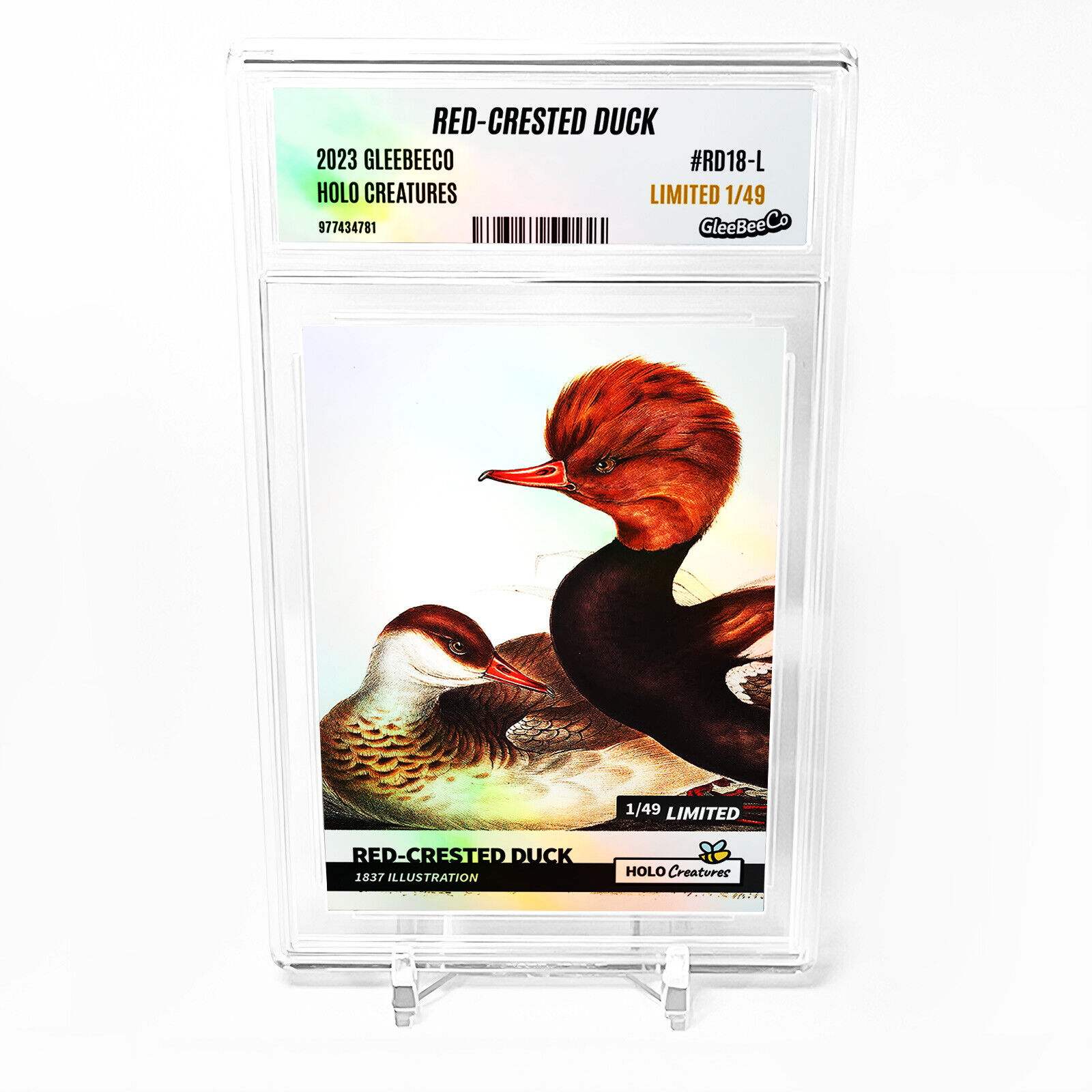 RED-CRESTED DUCK Card 2023 GleeBeeCo Holo Creatures #RD18-L Limited to Only /49