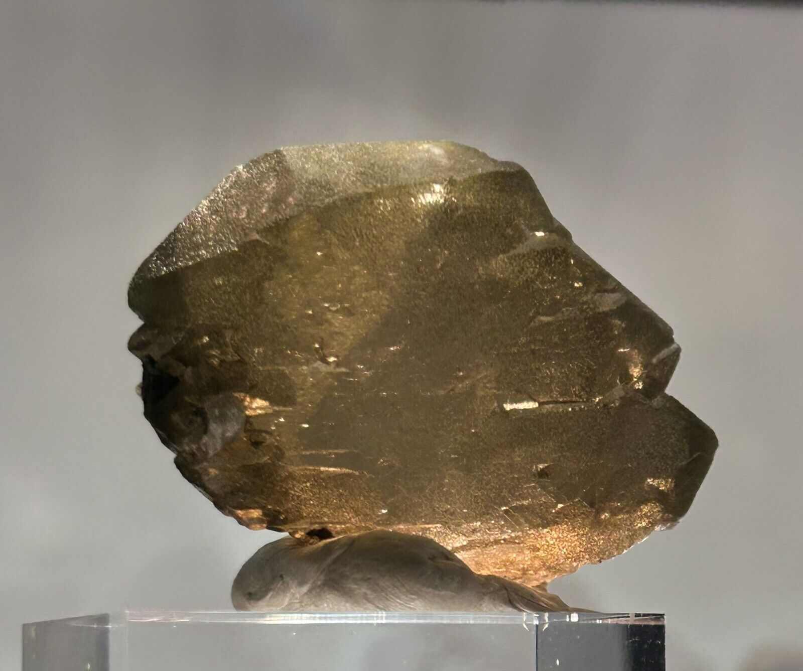 SUPERB SMOKY QUARTZ GWINDEL with Chlorite  from GRISONS, SWITZERLAND