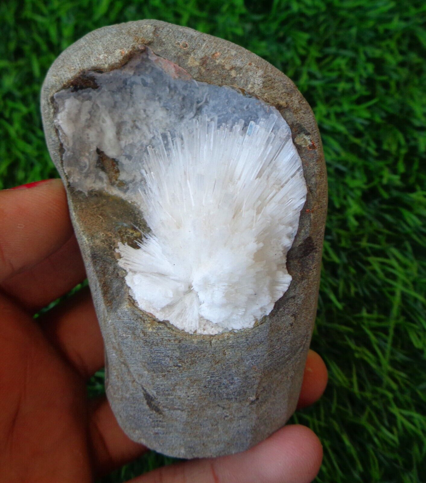 Scolecite Blow Format In Geode Minerals Specimen #F61