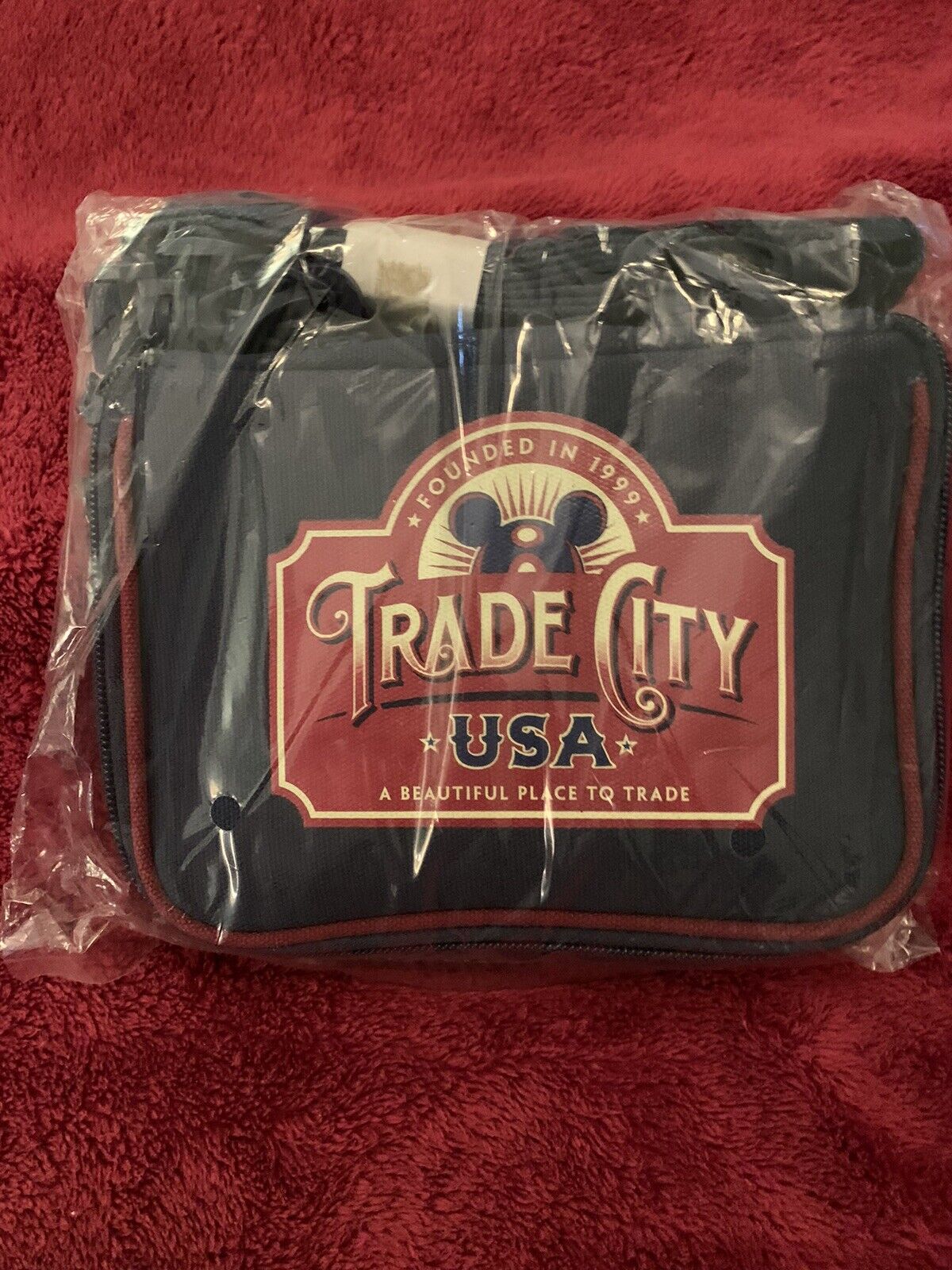 Disney Trade City USA Pin Bag & Limited Edition Pin Set Figment Country Bears