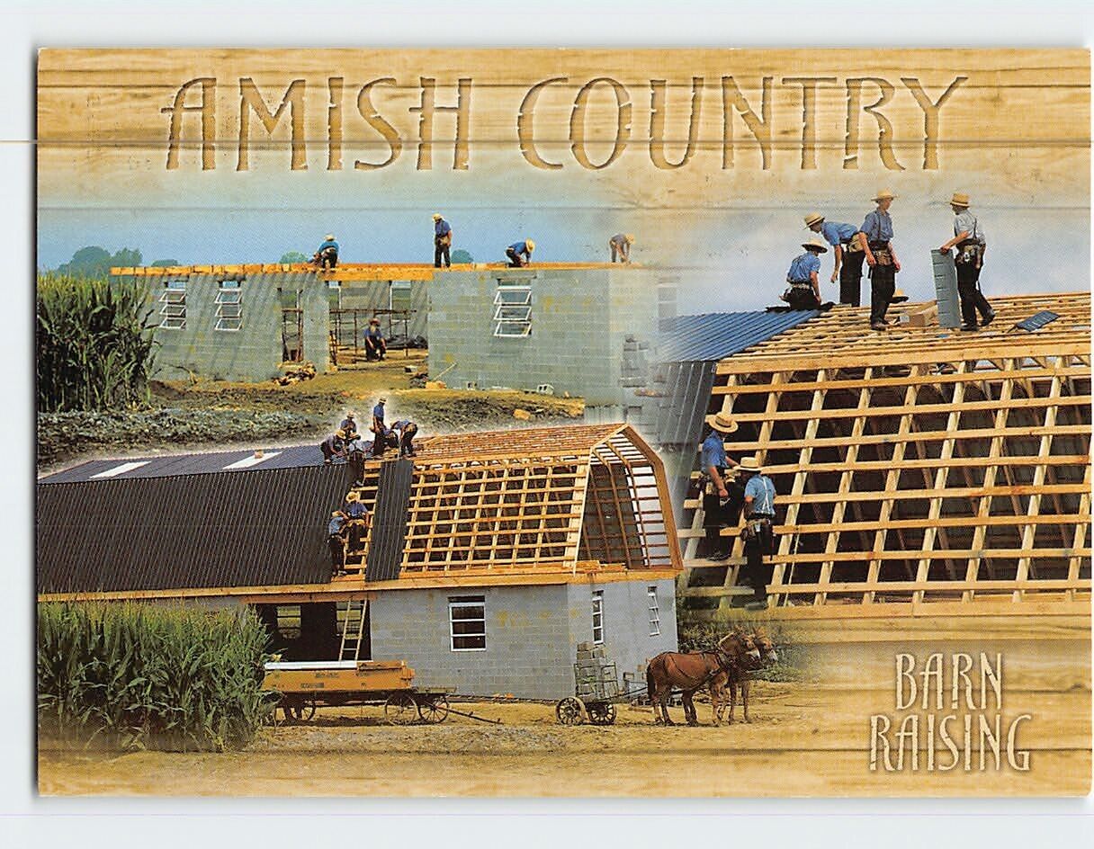 Postcard Barn Raising Amish Country Pennsylvania USA