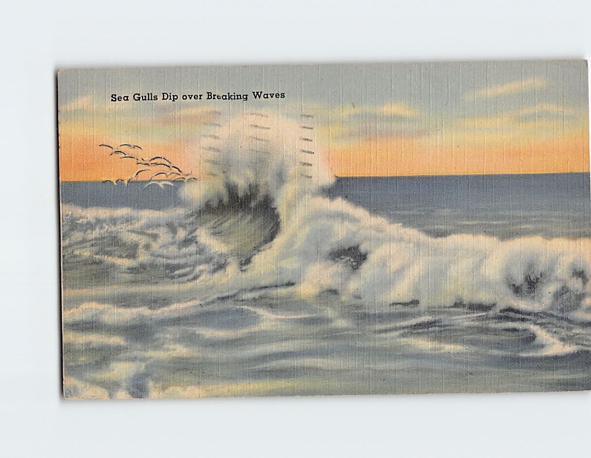 Postcard Sea Gulls Dip Over Breaking Waves