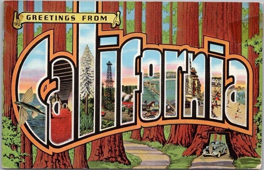 Vintage CALIFORNIA Large Letter Postcard Redwood Trees / KROPP Linen 1941 Cancel