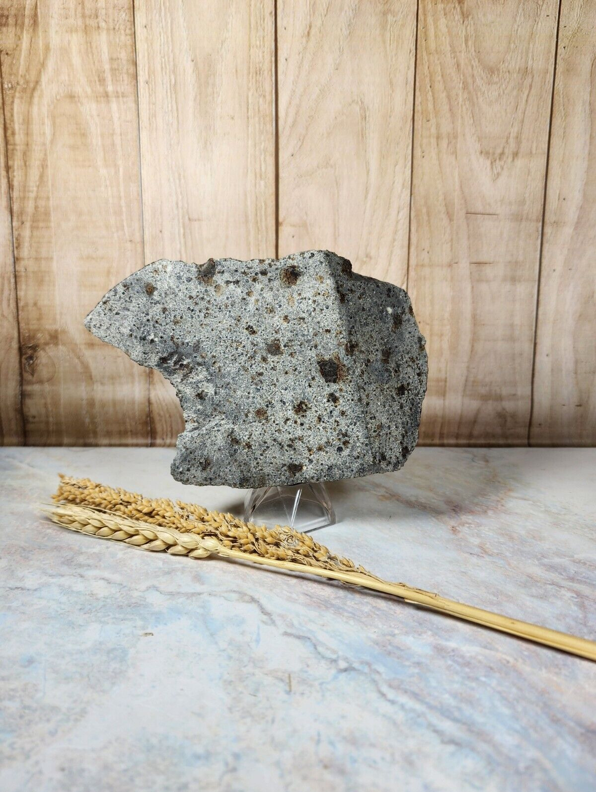 nwa meteorite chondrite . - READ DESCRIPTION IMPORTANT note - Chondrite . 5060CT