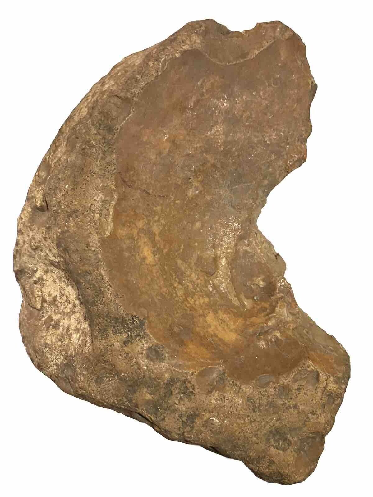 Large 7inch By 5 Inch Prehistoric Neathdrathal Flint Axe Found In Central Texas