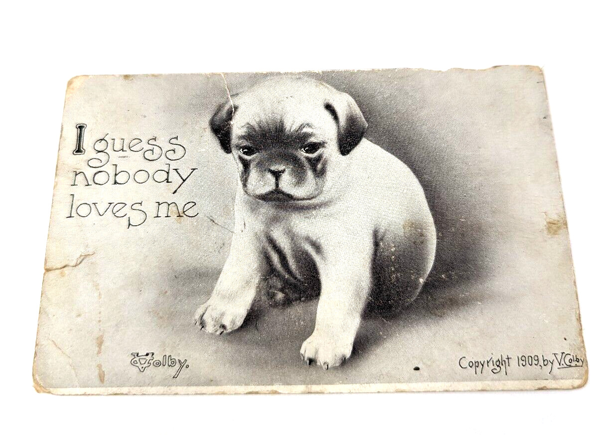 Antique 1909 Vincent V Colby Funny Humor Puppy Post Card Denver, Co #1C