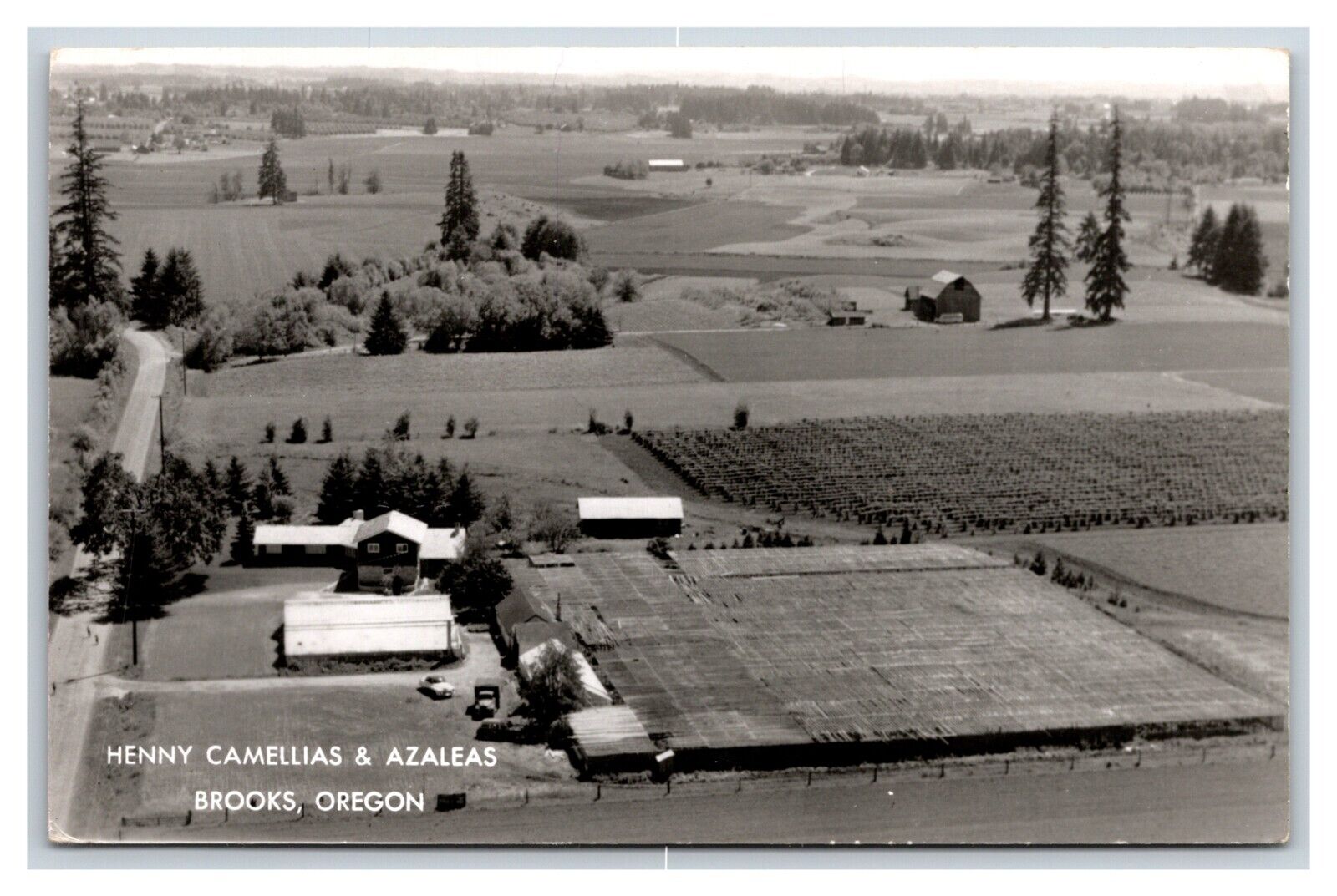 Henny Camellias and Azaleas Aerial View Brooks Oregon OR UNP Postcard W10