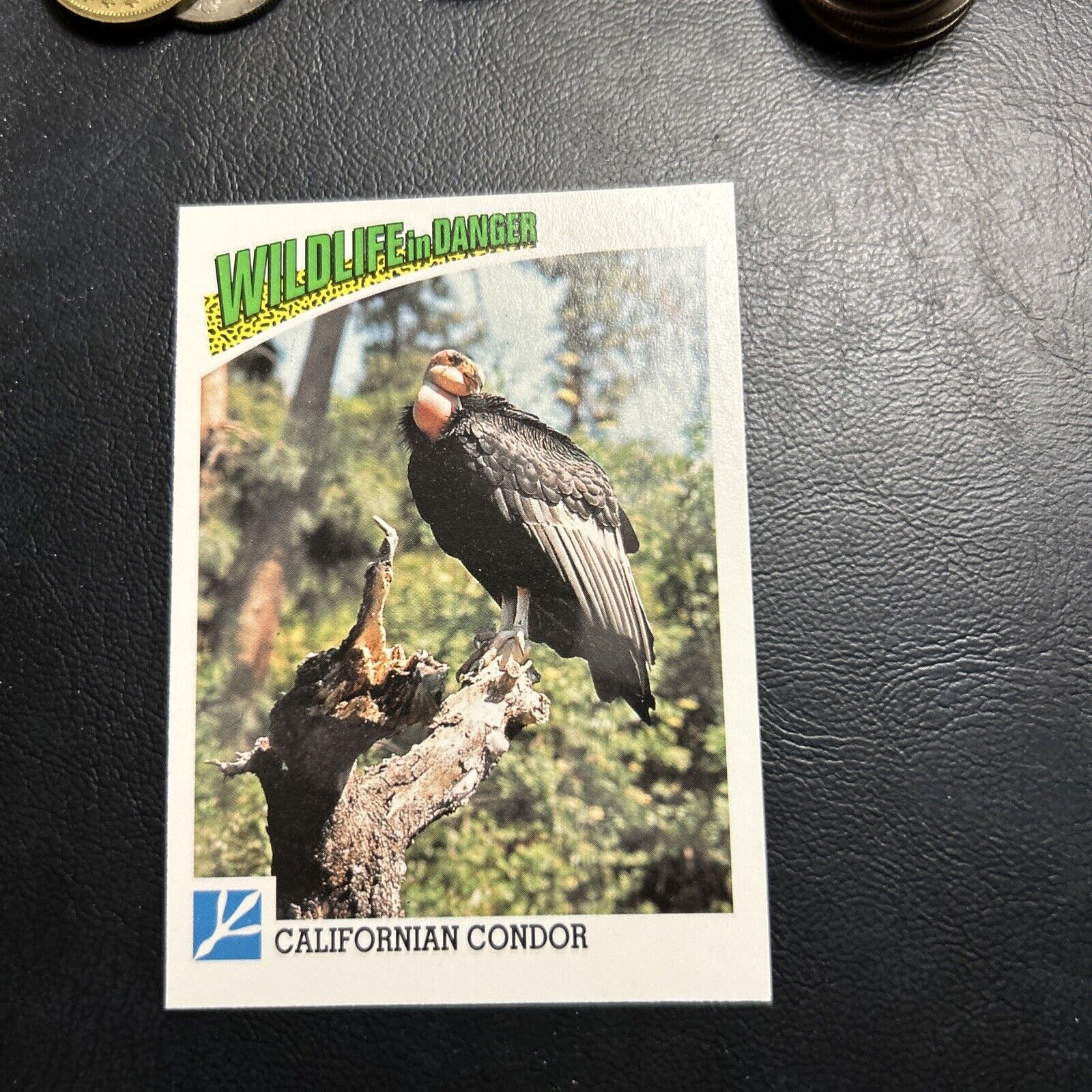 B30s Wildlife In Danger 1992 WWF World Fund #75 California Condor Bird