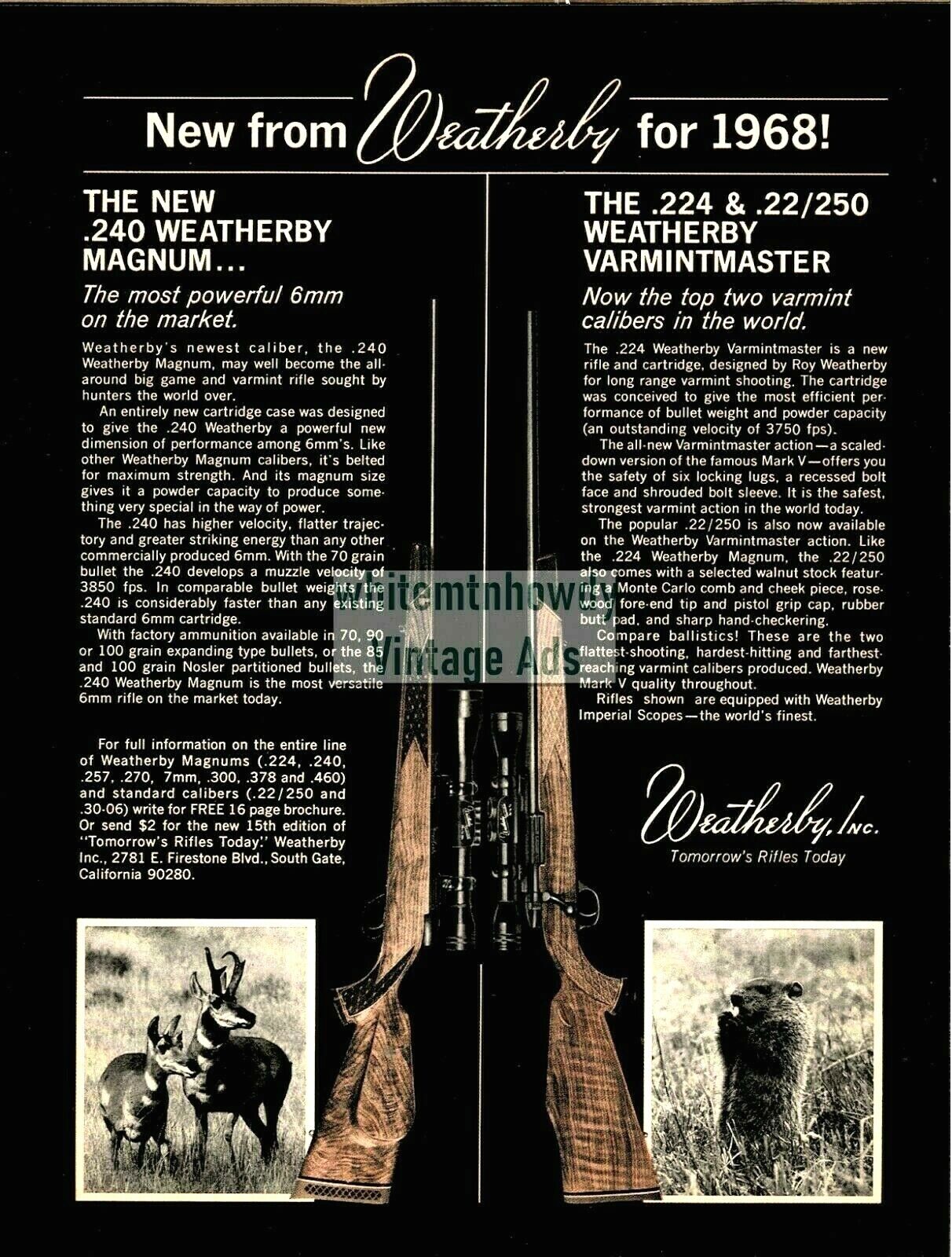 1968 WEATHERBY New .240 Magnum and .224 & .22/250 Varminteer Rifle PRINT AD