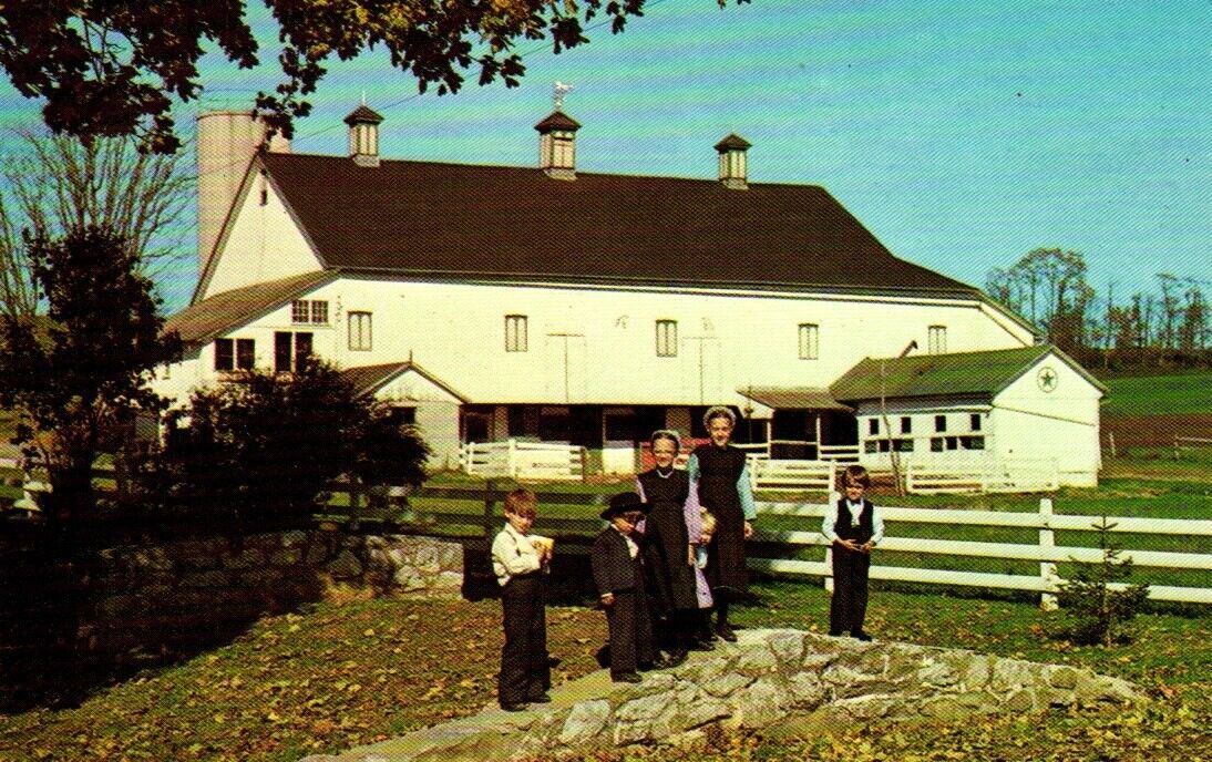 Amish Children & Hex Sign Barn Postcard