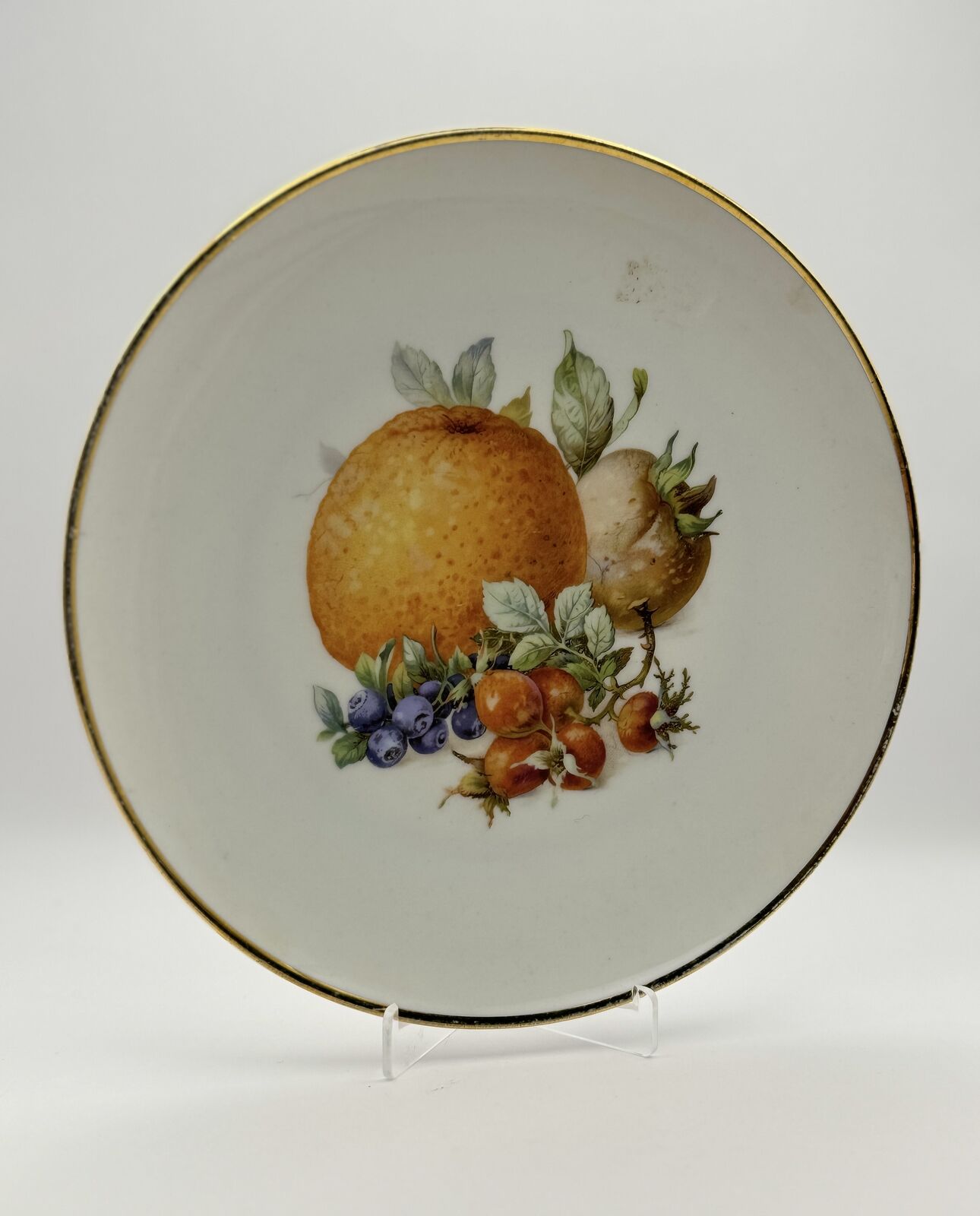 Rare Schumann Arzberg Germany Hand-Painted Fruit Plate with Gold Rim