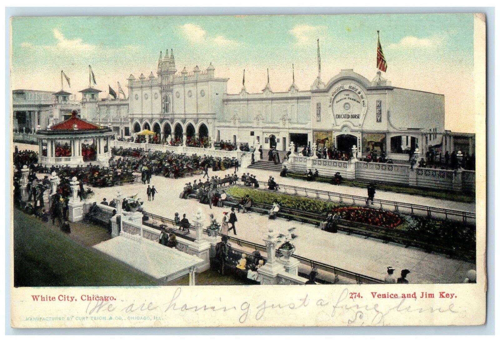 1906 White City Chicago Illinois IL, Educated Horse Pavilion Antique Postcard
