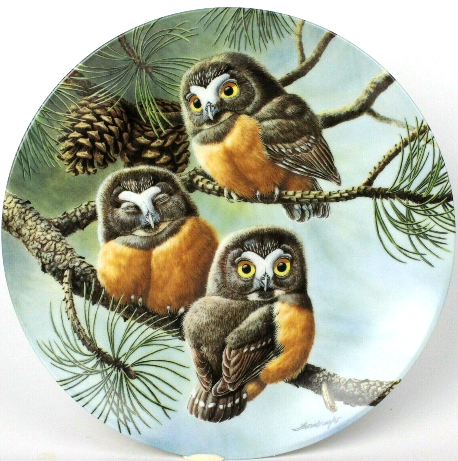 Knowles Collector China Plate Saw Whet Owls 1991 \