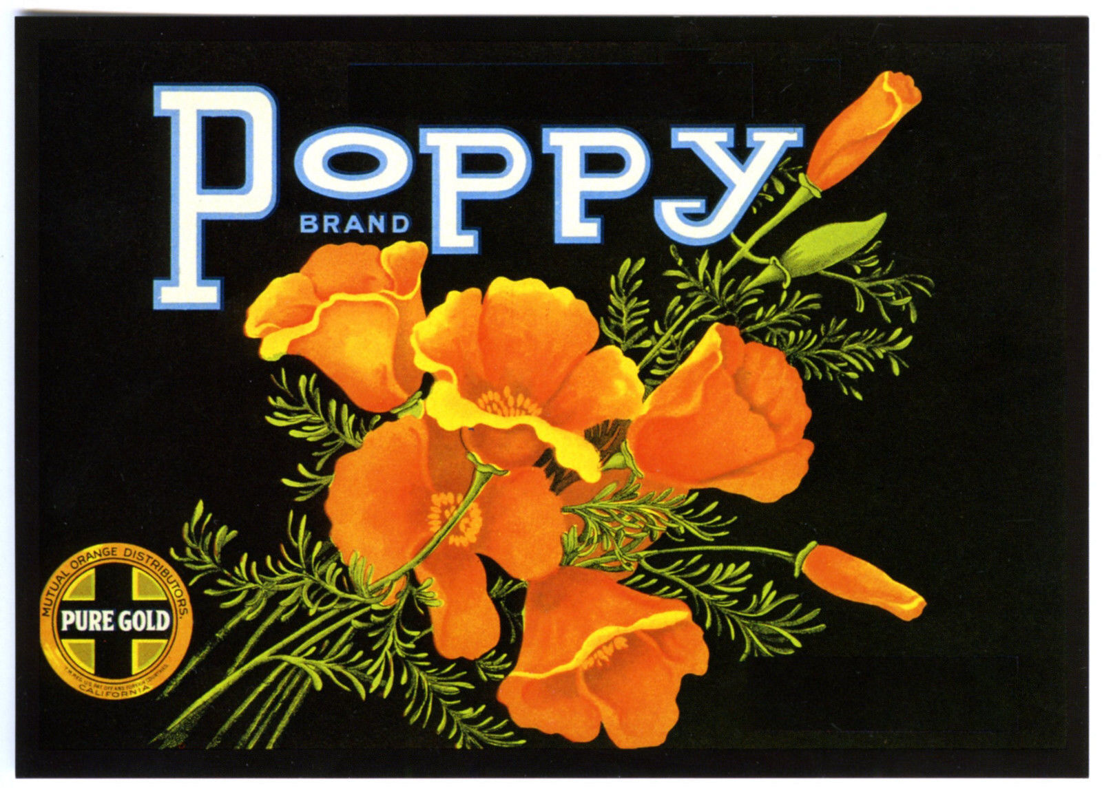 POPPY~GOLDEN POPPIES FLOWERS~HISTORICAL FRUIT CRATE LABEL ART~NEW 1983 POSTCARD