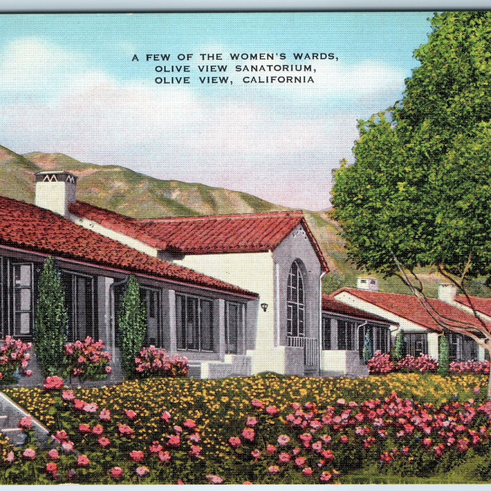c1930s San Fernando Los Angeles, Olive View, Cali Sanatorium Womens Ward CA A207