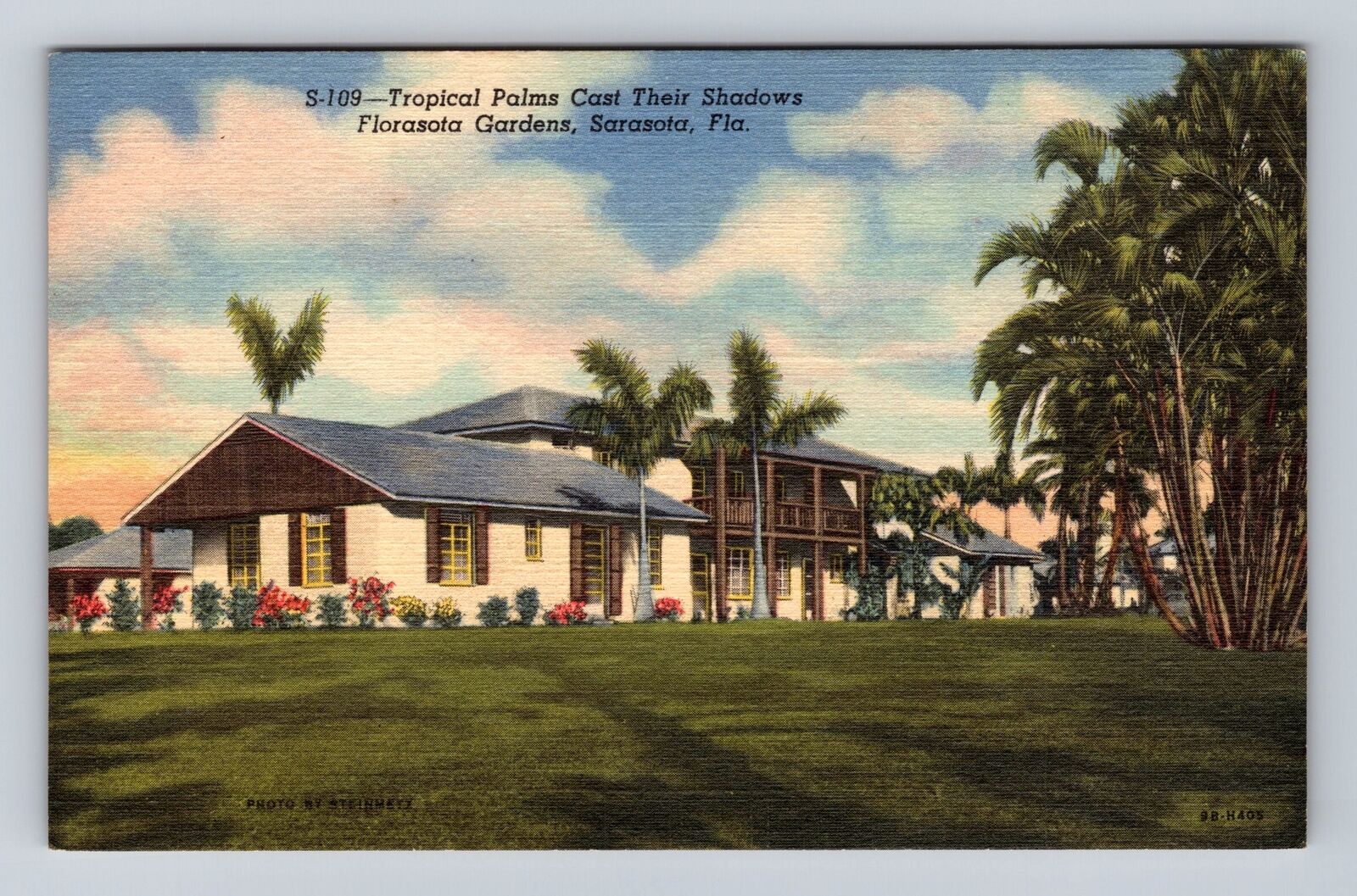 Sarasota FL- Florida, Tropical Palms Cast Their Shadows, Vintage Postcard