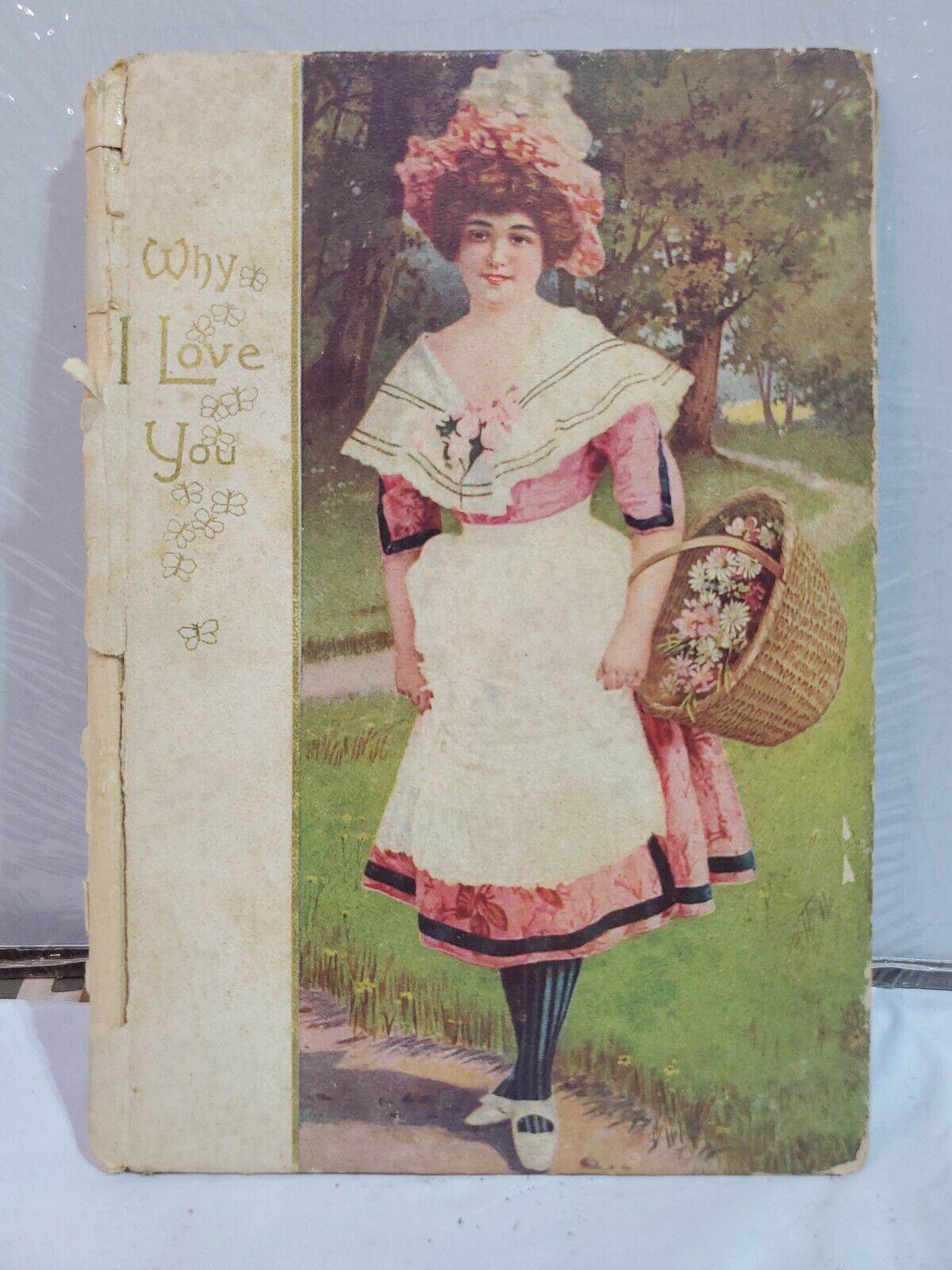 Why I Love You 1907 Cupples & Leon Superb Edwardian Hardcover Romantic Poems