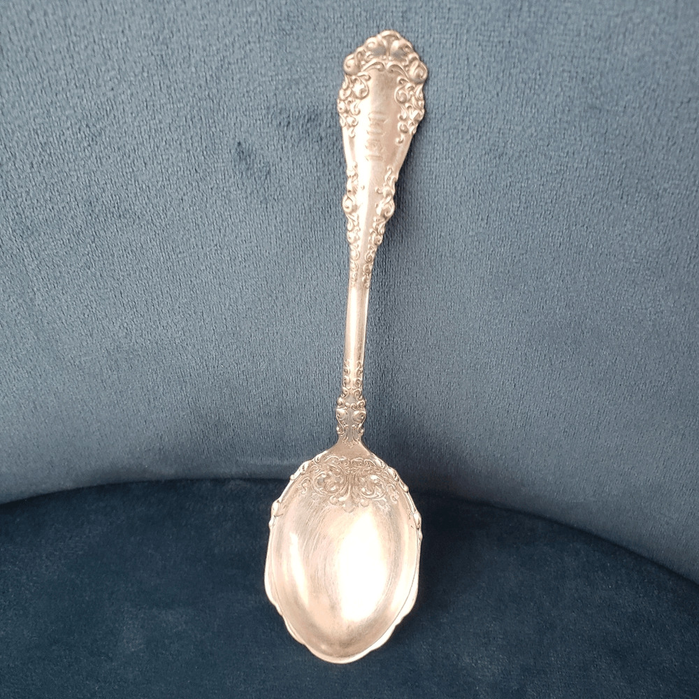 Vintage 1847 Rogers Bros. Silver Spoon