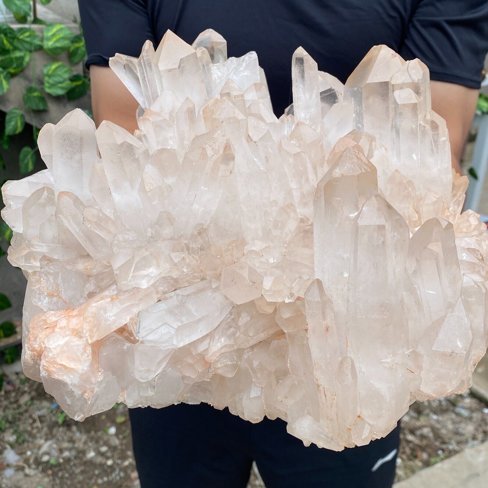 20.8lb A++Large Natural clear white Crystal Himalayan quartz cluster /mineralsls